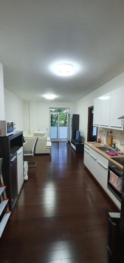 Spa Apartment Moser Karlovy Vary Kültér fotó
