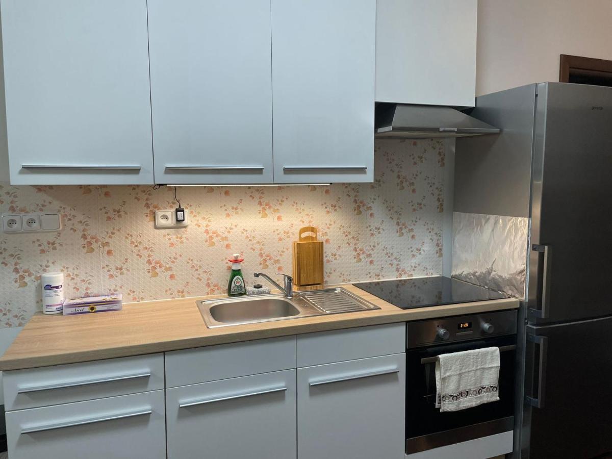 Spa Apartment Moser Karlovy Vary Kültér fotó