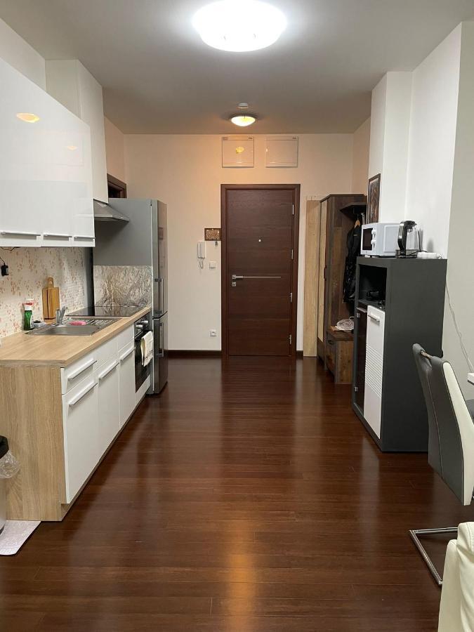 Spa Apartment Moser Karlovy Vary Kültér fotó